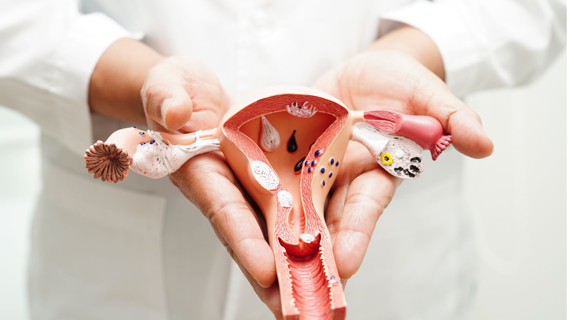 Pentingnya menjaga Kesehatan area kewanitaan