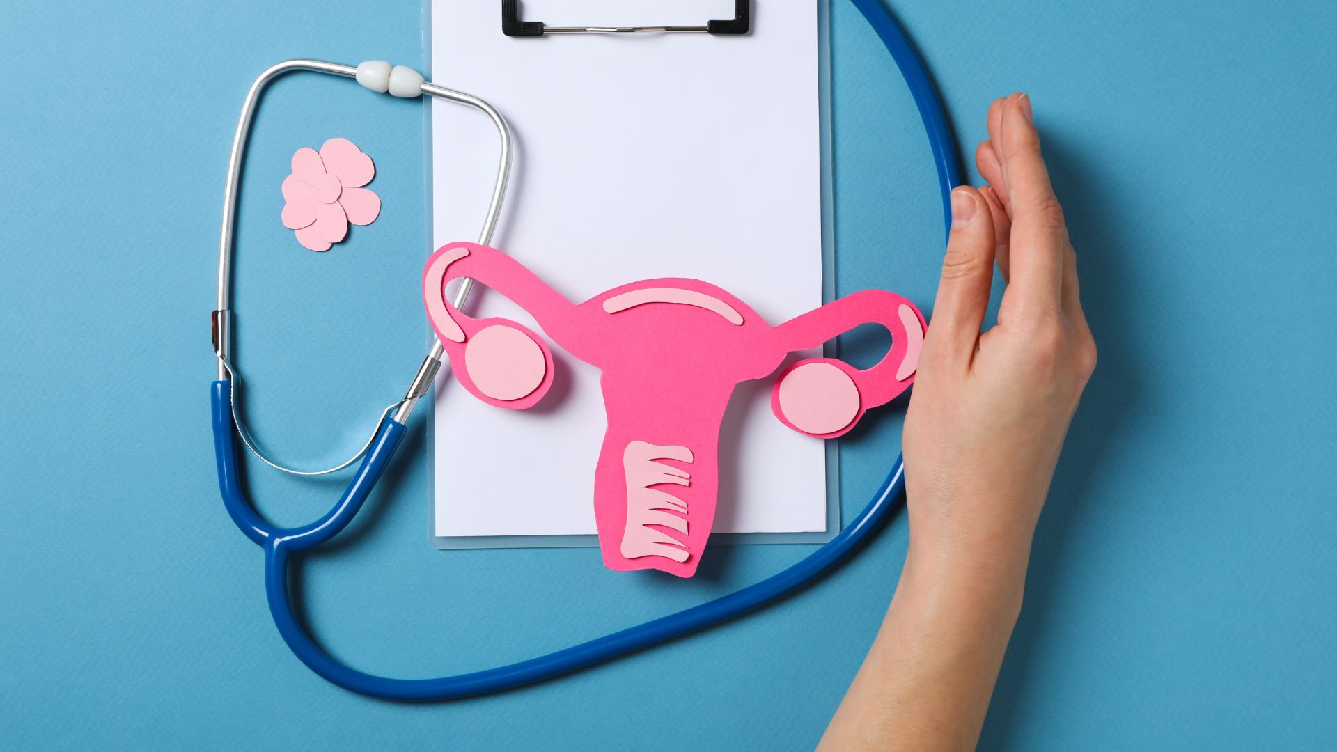 Cara menjaga kesehatan miss v dengan baik dan benar