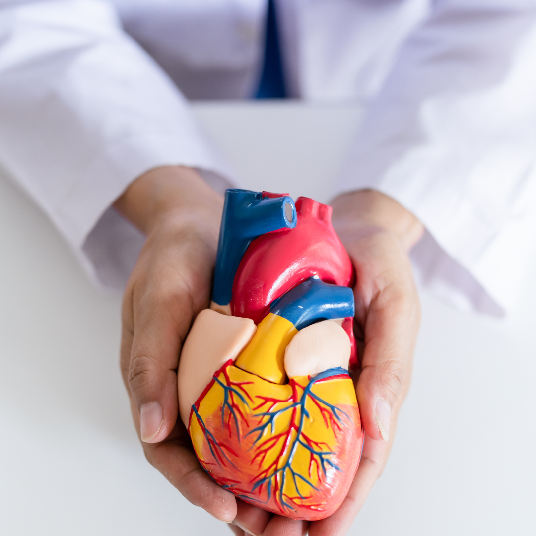 Kenapa Jantung Berdebar Kencang?